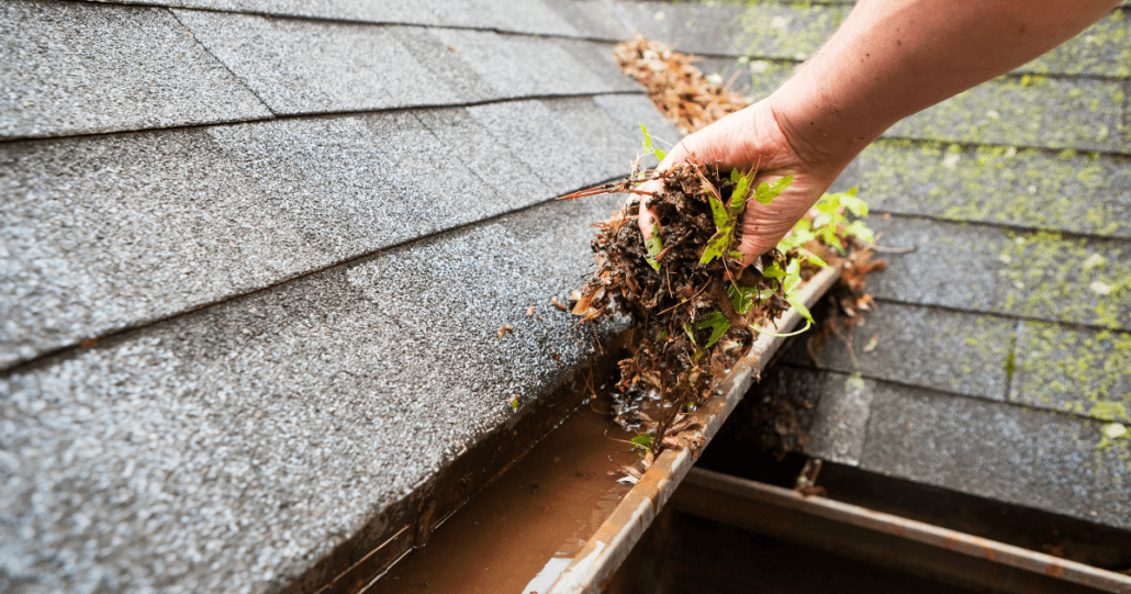 A hand removes wet leaves and debris from a clogged gutter on a roof. The scene conveys maintenance, with a focus on cleaning and upkeep.