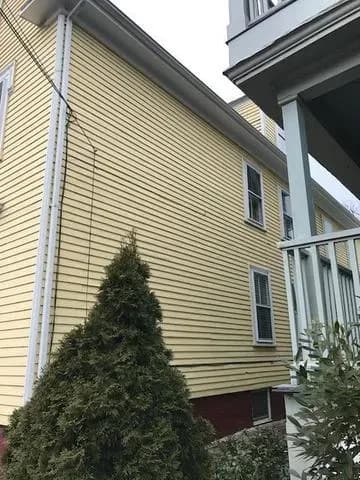 Yellow house with white trim and two windows, viewed from the side. A tall evergreen shrub stands in the foreground, and white porch railings are visible.