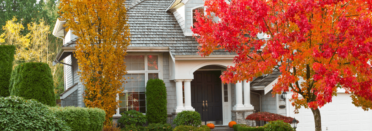 Charming house with a gray exterior and dark door, surrounded by vibrant autumn trees in shades of red and orange, creating a warm, inviting atmosphere.