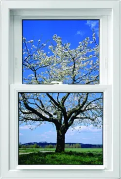 View through a window showcasing a blossoming tree with white flowers against a vivid blue sky. A serene and fresh spring atmosphere is conveyed.