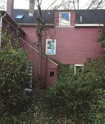 A red house with a sloped roof and skylights is surrounded by overgrown greenery, conveying a rustic and slightly neglected atmosphere.