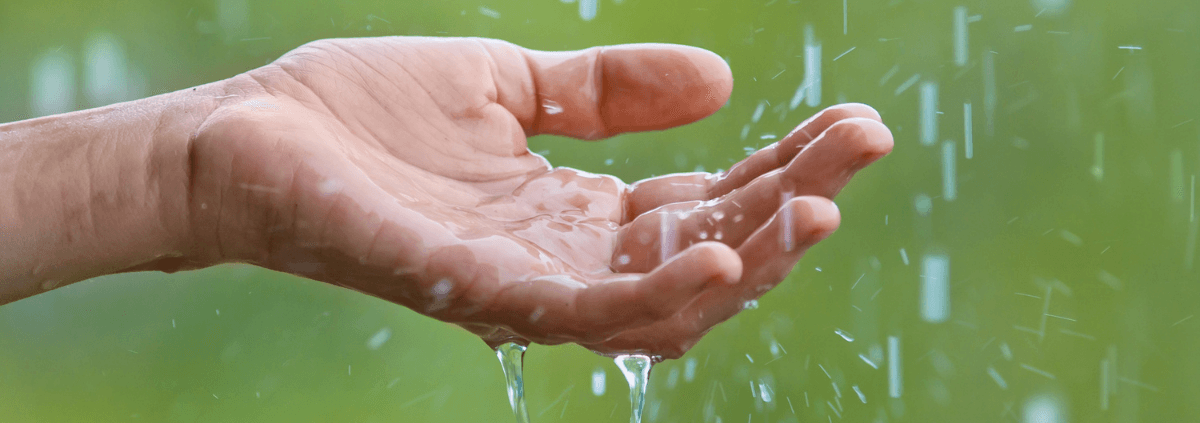 A hand outstretched, catching rain against a soft green background. Water droplets splash and flow, conveying freshness and tranquility.