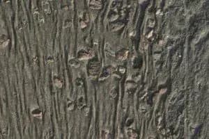 Close-up of a textured rock surface with vertical grooves and scattered small bumps. The uneven patterns create a rugged and weathered appearance.