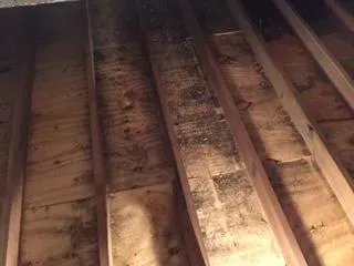 Wooden ceiling beams with visible dark mold patches on the wooden panels, suggesting possible moisture damage; the scene is dimly lit.
