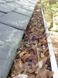 Gutter filled with dry leaves and debris next to a tiled roof, suggesting maintenance is needed. The scene conveys neglect and natural accumulation.