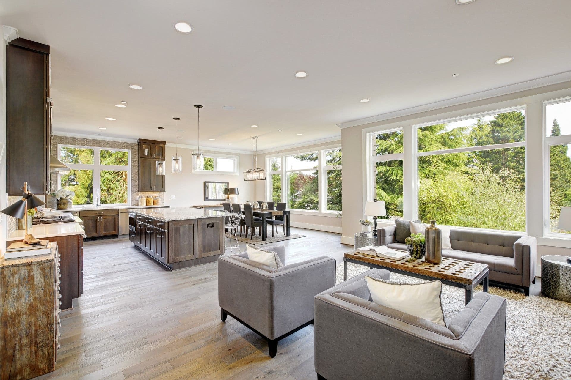 Living Room and Kitchen with large windows