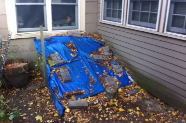 A blue tarp is awkwardly arranged against a house, held by cinder blocks. Fallen leaves are scattered over it, creating a makeshift slope. The scene feels improvised.
