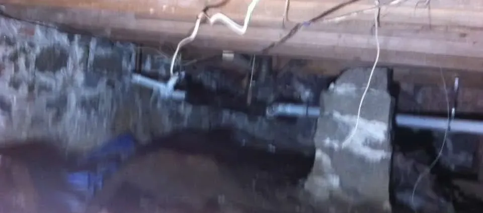 Dimly lit crawl space with exposed piping and stone walls. Wooden beams and hanging wires add an unfinished, eerie feel to the scene.