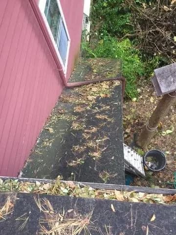 A rooftop covered in pine needles and leaves, next to a red house. A ladder leans against the roof, and a trash can below suggests clean-up work.