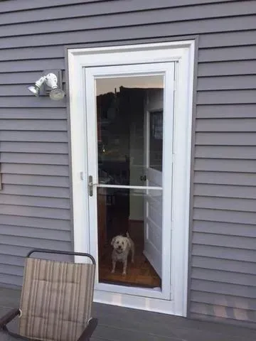 A small dog stands inside behind a white screen door, looking outside. Gray siding surrounds the door, with a light fixture above and a chair in the foreground.
