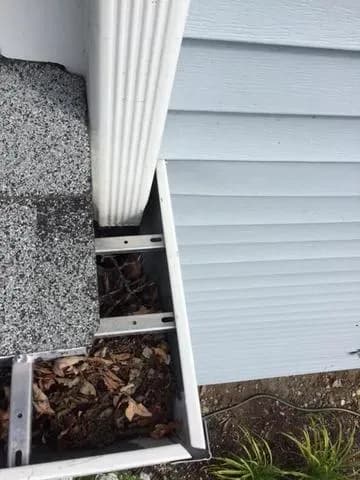 The image shows a gray asphalt shingle roof meeting a light blue siding wall. Leaves are collected in a roof gutter below, suggesting need for maintenance.