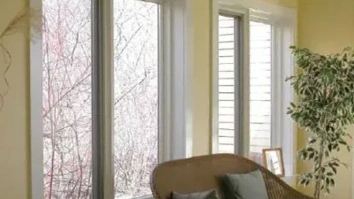 A sunlit room with large windows, wicker sofa with cushions, and a green potted plant. Outside, bare branches contrast against the light-colored walls.