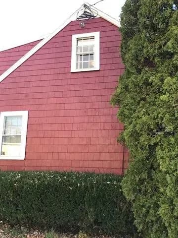A red house with white trim partially obscured by a tall evergreen tree, surrounded by trimmed hedges. The scene feels calm and residential.